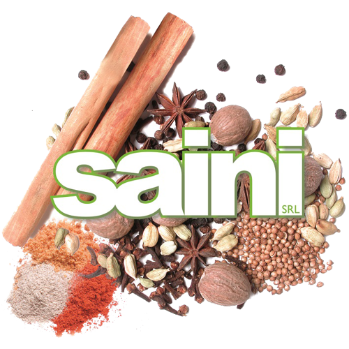 Saini Srl
